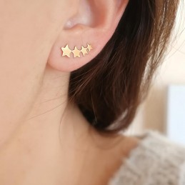 Boucles d'oreilles argent feuilles épis zirconium
